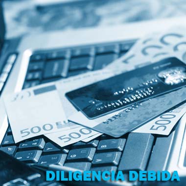 Diligencia Debida Investigativa
